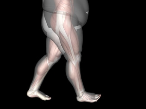 Healthy Weight Equals Happy Feet